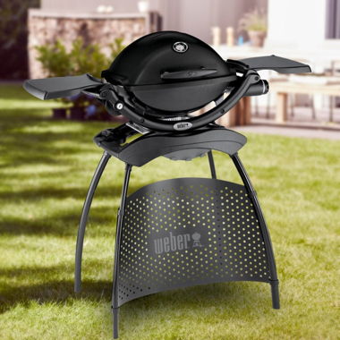 Weber Barbecue à gaz Q 2200 avec Stand 