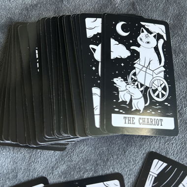 Kitten Tarot Deck