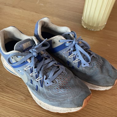 Baskets sport Nike