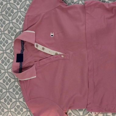 Polo Champion rose