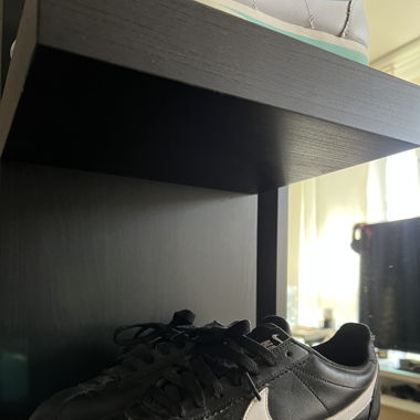 Nike Cortez Spezial Sport Edition
