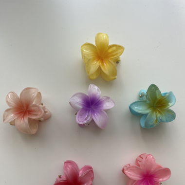 Set mit 6 Blumenhaarklammern