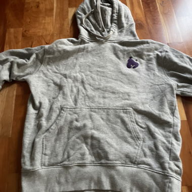Hoodie Money Gris