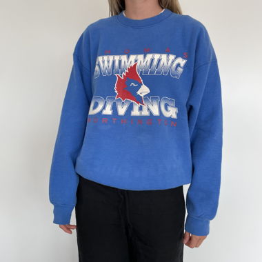 Vintage High School Hoodie
