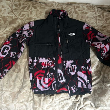The north face jacket