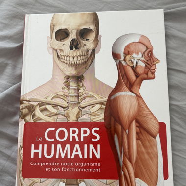 Il corpo umano