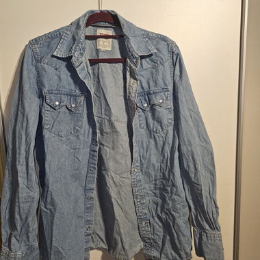Camicia di jeans Levi's con patch tigre
