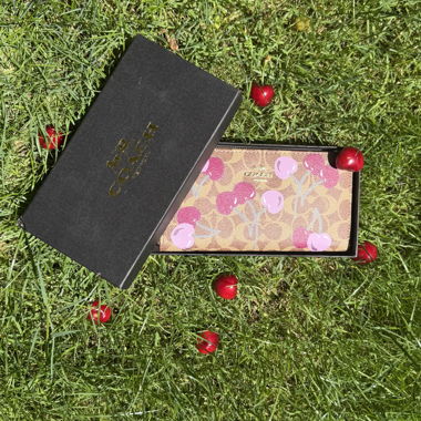 Pochette Coach Vintage