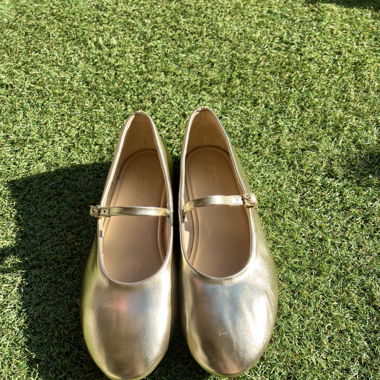 Ballerina shoes