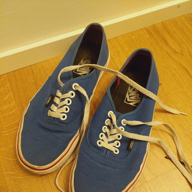 Vans blau