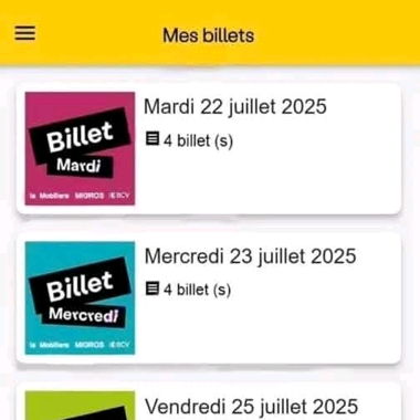 Billets paléo festival 