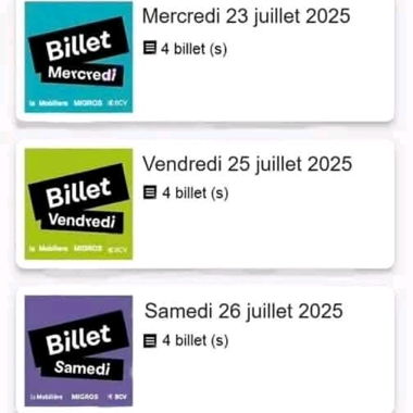 Billets paléo festival 