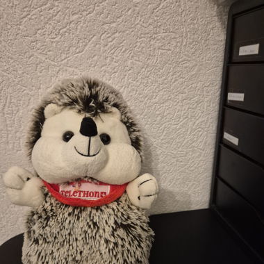 Peluche hérisson 