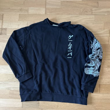 Pullover mit Drachendesign