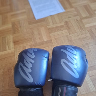 Boxing Gloves