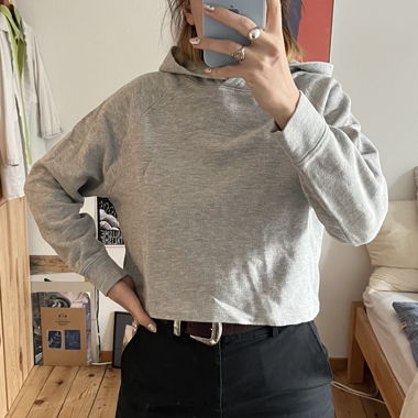 Gray cropped Hoddie 