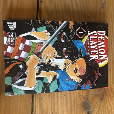 Demon Slayer Manga Vol. 1