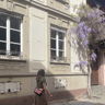 Aline.R