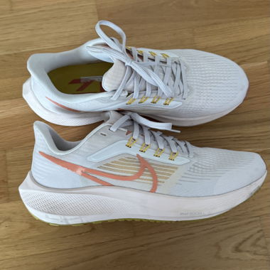 Nike Air Zoom Pegasus