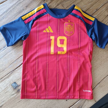 Maglia della Spagna n. 19