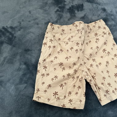 Lot 2 short