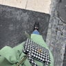 carriebradshow