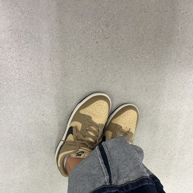 Nike dunk brown 
