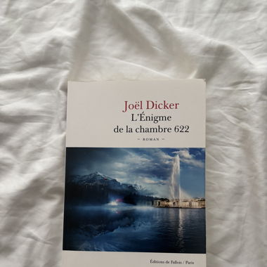 Buch Das Rätsel des Zimmers 622
