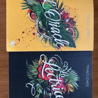 Traci Chee books set