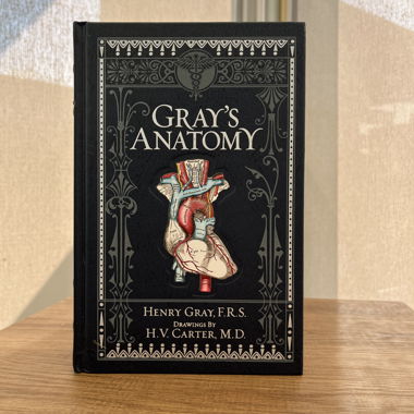 Gray's Anatomy Buch