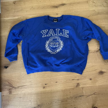 Blauer Sweater