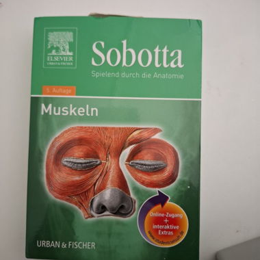 Carte didattiche Sobotta: Muscoli