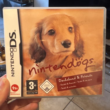Jeux Nintendo DS