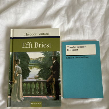 Buch Effie Briest 