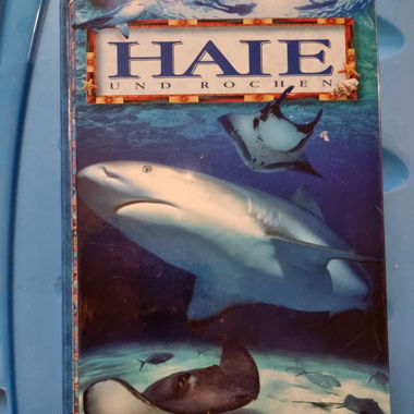 Haie und Rochen Sachbuch