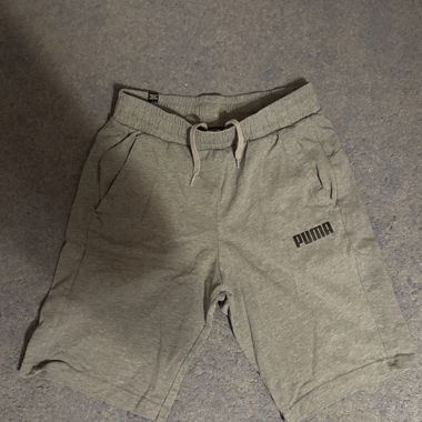 Puma Sport-Shorts grau
