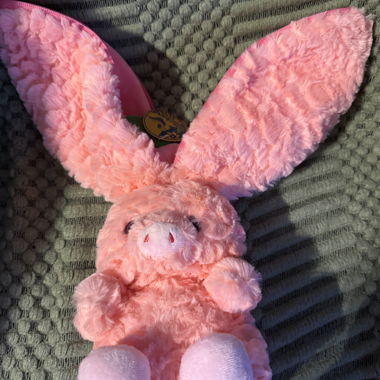 Plush Rabbit with Strawberry Cover