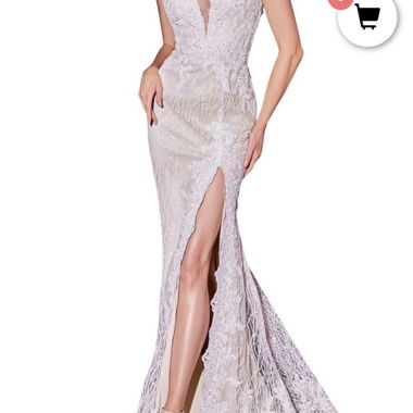Cendrillon divine