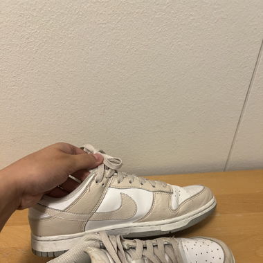 Nike Dunks 