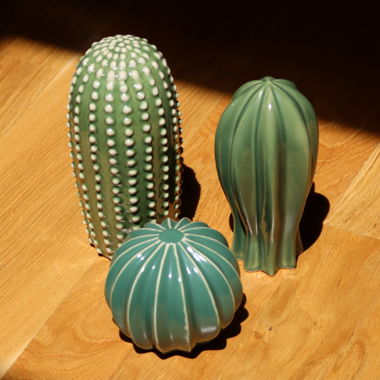Cactus décoratif vert