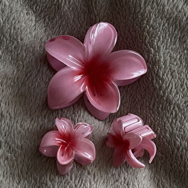 Pink Flower Claw Clip Set