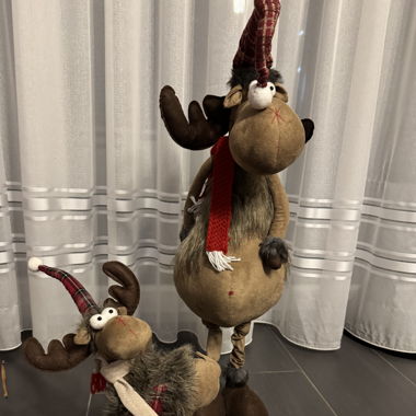 2 Winterlicher Elch