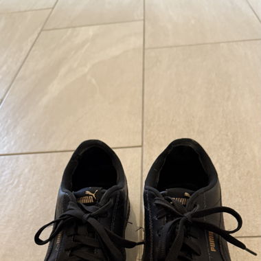 Puma noire