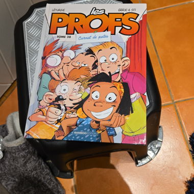 Lrs profs tome 28 carnet de pote 2025