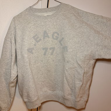 Sweatshirt AE Eagle 77