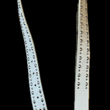 Cintura dal design