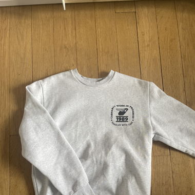 carhartt pulli