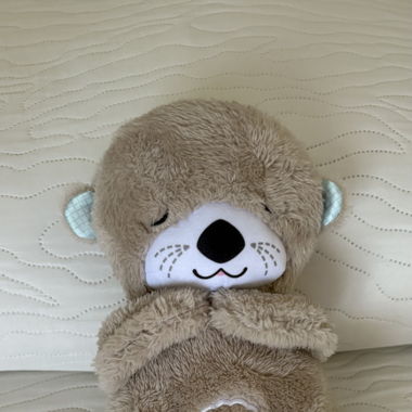 Schlummerotter