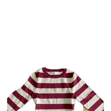 zara cropped long sleeve