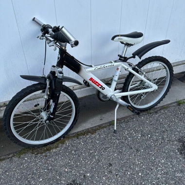 Kids/Youth Buzz 20 California Bike